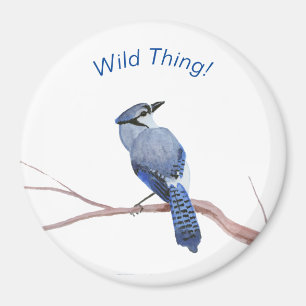 Íman Blue Jay