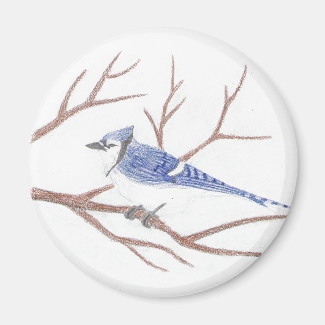 Íman Blue Jay Magnet (Frente)