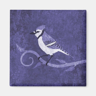 Íman Blue Jay Magnet