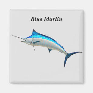 Íman Blue Marlin