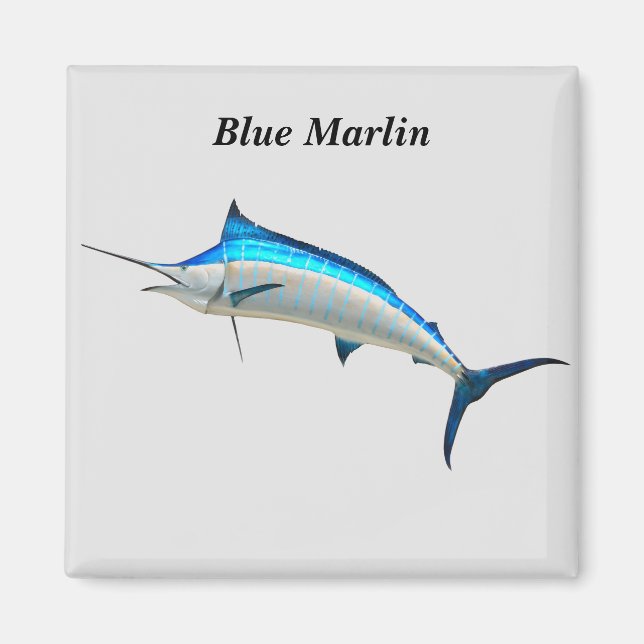 Íman Blue Marlin (Frente)