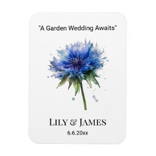 Íman Blue Meadow Magic: Arte de Cornflower com aquarela