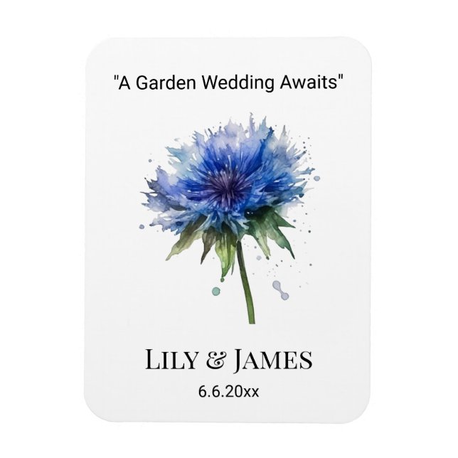 Íman Blue Meadow Magic: Arte de Cornflower com aquarela (Vertical)