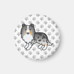 Íman Blue Merle Shetland Sheepdog Sheltie Dog