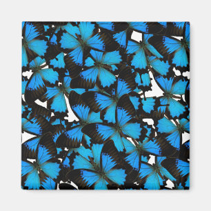 Íman Blue Mountain Swallowtail