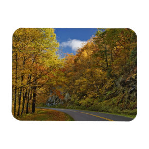 Íman Blue Ridge Parkway curvando através das cores de o