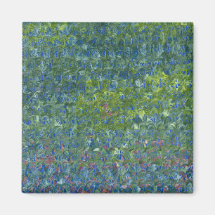 Íman Bluebells 2012