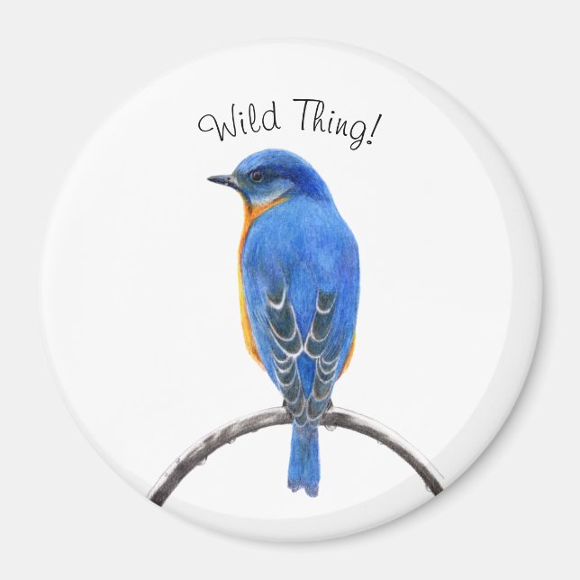 Íman Bluebird (Frente)