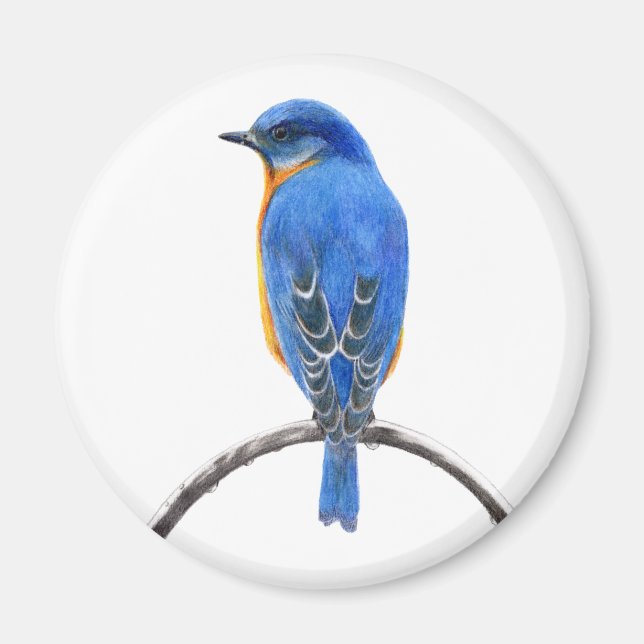 Íman Bluebird (Frente)