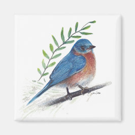 Íman Bluebird Bird Art Magnet