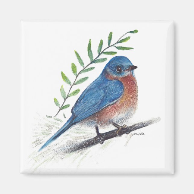 Íman Bluebird Bird Art Magnet (Frente)