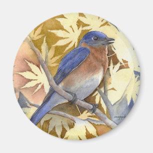 Íman Bluebird of Happy Magnet