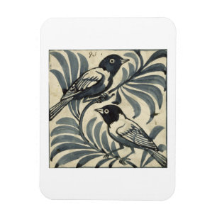 Íman Bluebirds (w/c no papel)