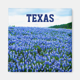 Íman Bluebonnets Blue Flowers Texas Texan Floral Magnet