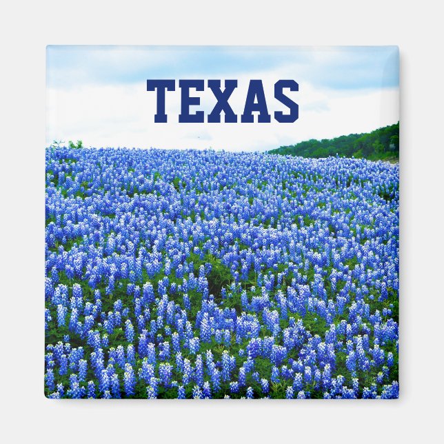 Íman Bluebonnets Blue Flowers Texas Texan Floral Magnet (Frente)