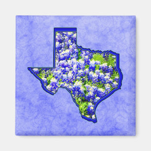 ÍMAN BLUEBONNETS DE TEXAS