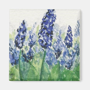 Íman Bluebonnets de Texas