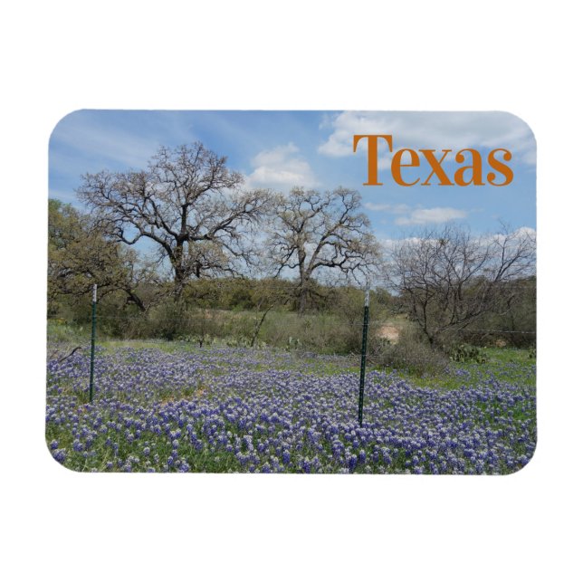 Íman Bluebonnets para Flores do Texas (Horizontal)