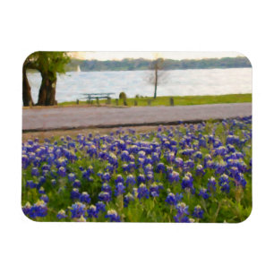 Íman Bluebonnets pelo lago