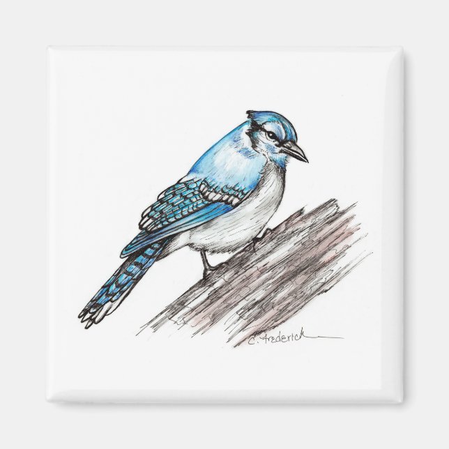 Íman Bluejay (Frente)