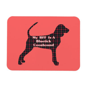 Íman Bluetick Coonhound BFF