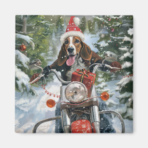 Íman Bluetick Coonhound Dirigindo motocicleta Natal