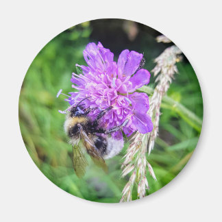 Íman Blütenkraft – Runder Magnet mit Hummelmotiv