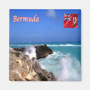 Íman BM - Bermudas - Tempestade Tropical José