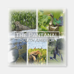 Íman BO0024 America, South America, Bolívia, Fridge