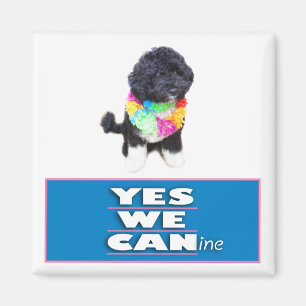 Íman BO Obama SIM NÓS ímã canino, quadrado