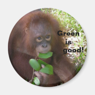 Íman Boa dieta do vegetariano