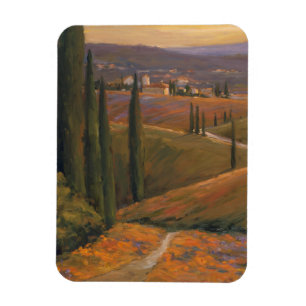 Íman Boa tarde caminhando I