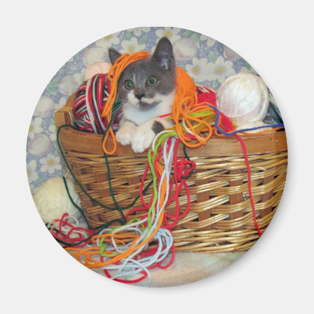 Íman Bob Spinn'in a Yarn Magnet (Frente)