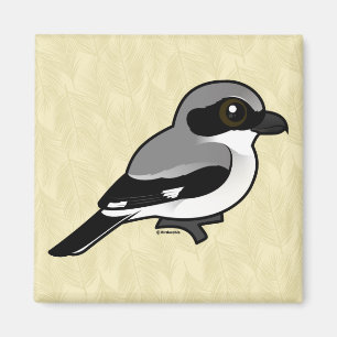 Íman Boba Shrike de Birdorable