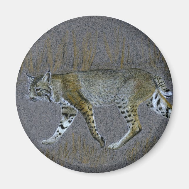 Íman Bobcat (Frente)