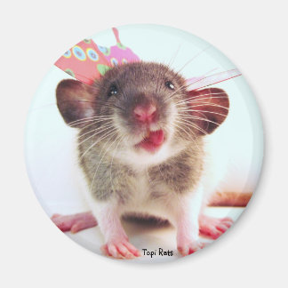 Íman Bobo Flutterby Rat