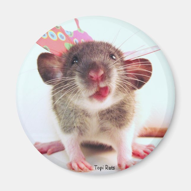 Íman Bobo Flutterby Rat (Frente)