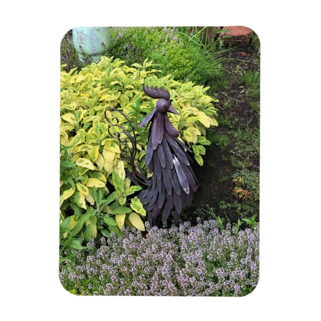Íman Bobo Metal Rooster (Vertical)