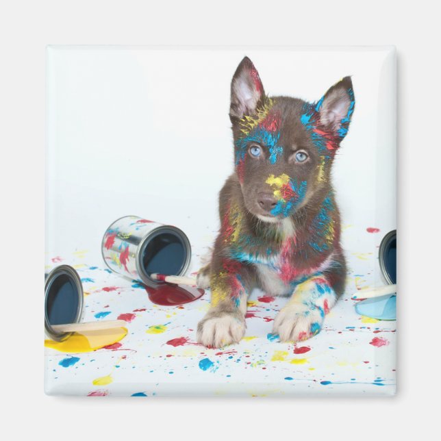 Íman Bobo Rouco Puppy entrou em Baldes de pintura (Frente)