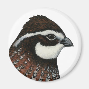 Íman Bobwhite Quail Head