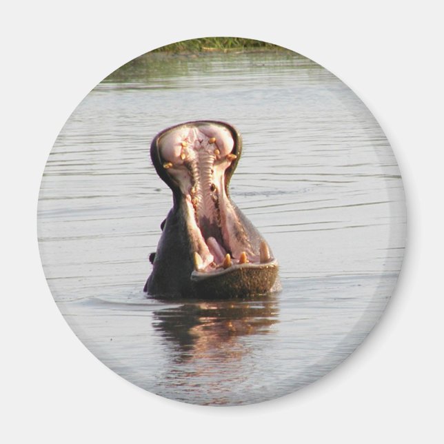 Íman Boca de Hippo (ímã redondo ou quadrado) (Frente)