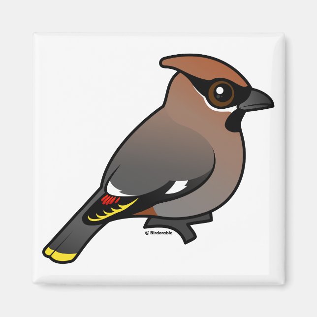Íman Bohemian Waxwing (Frente)