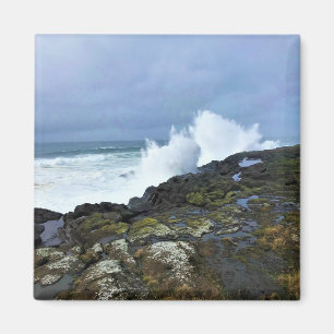 Íman Boiler Bay State Wayside, Depoe Bay, Oregon