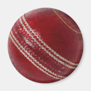 ÍMAN BOLA DE CRICKET