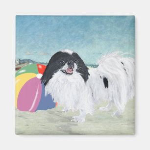 Íman Bola de Praia Japanese Chin