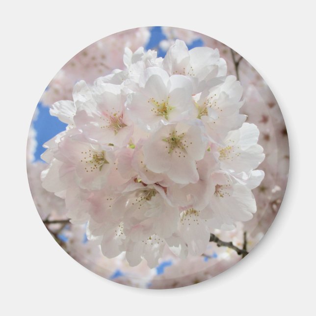 Íman Bolas de Flor Rosa. (Frente)