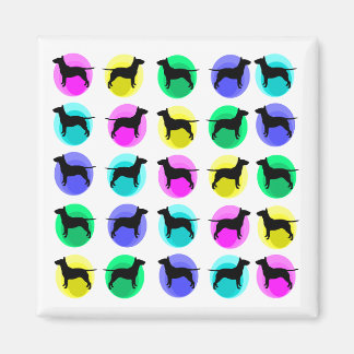 Íman Bolhas de Bolhas Multiplenas