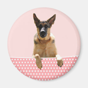 Íman Bolinhas Rosa german shepherd
