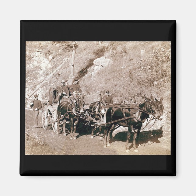 Íman Bolion Palco Coach Vintage (Frente)