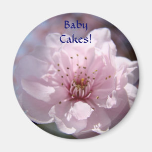 Íman BOLOS DE BEBÊ! Ímã Flores Cor-de-Rosa Ímãs da Prim